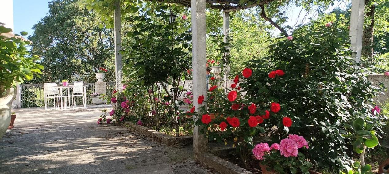 Casavacanze La Vigna Arenabianca Luaran gambar